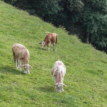 Ferienwohnung Oberrissglueck Schliersee Bagian luar foto